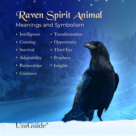 The Enigmatic Intelligence of the Magiy Raven